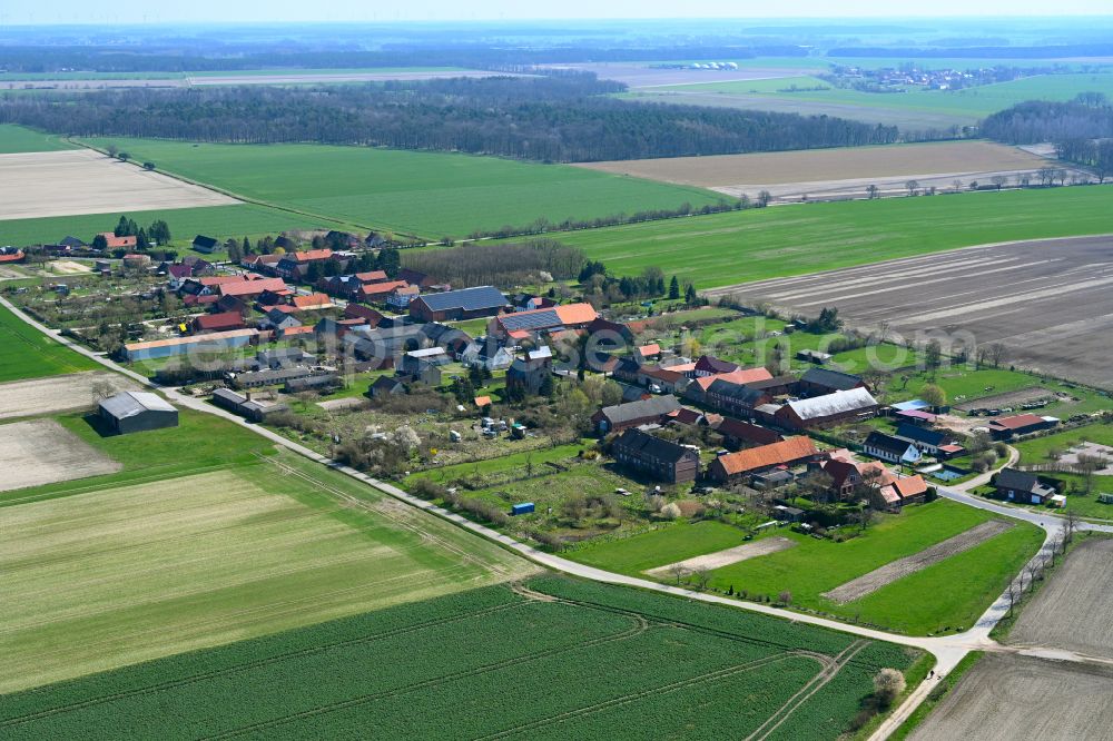 Kerkuhn from above - Agricultural land and field boundaries surround the settlement area of the village in Kerkuhn in the state Saxony-Anhalt, Germany