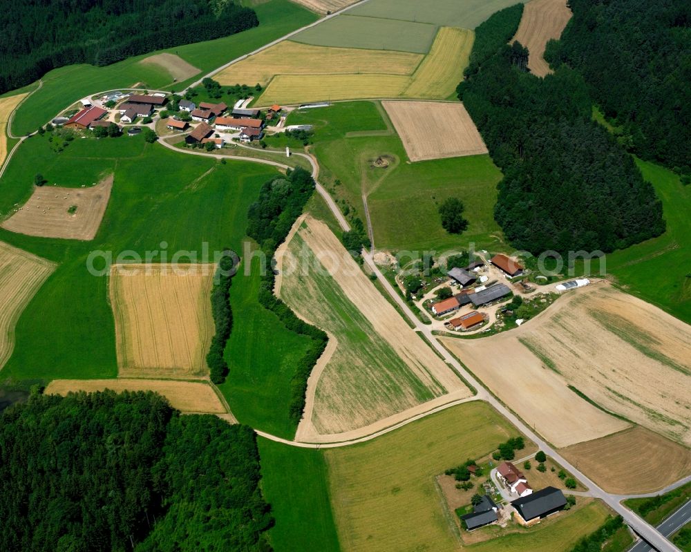 Kienberg from the bird's eye view: Agricultural land and field boundaries surround the settlement area of the village in Kienberg in the state Bavaria, Germany