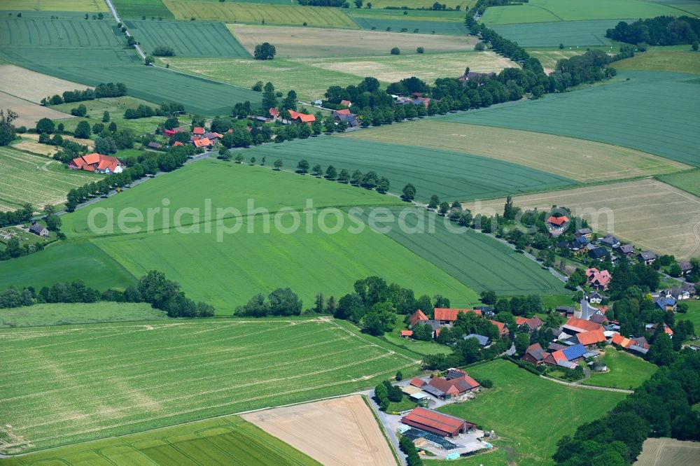 Klein Holtensen from the bird's eye view: Agricultural land and field boundaries surround the settlement area of the village in Klein Holtensen in the state Lower Saxony, Germany