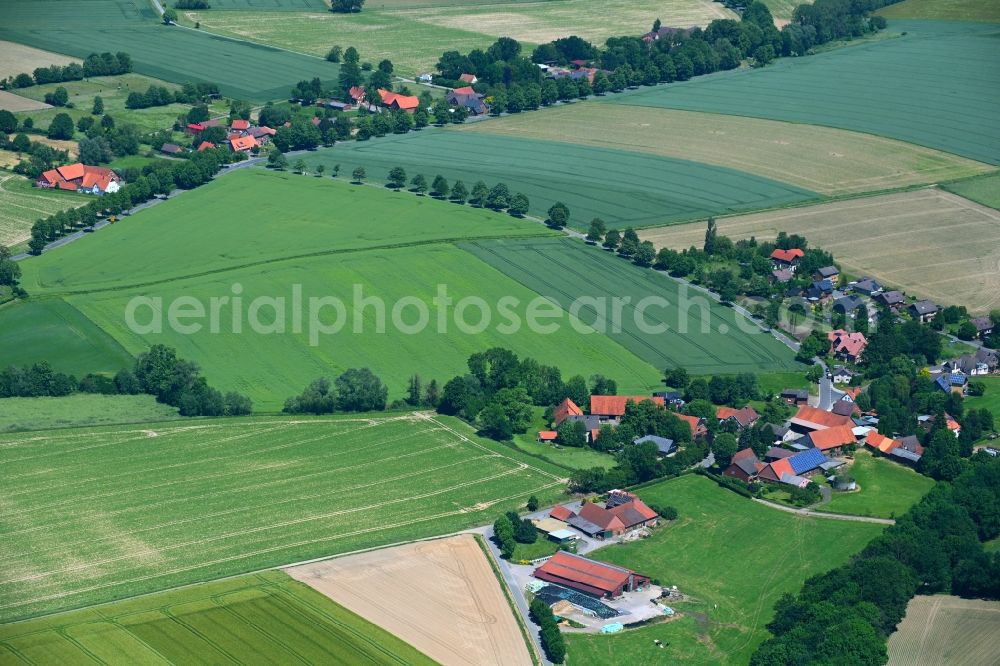 Aerial image Klein Holtensen - Agricultural land and field boundaries surround the settlement area of the village in Klein Holtensen in the state Lower Saxony, Germany