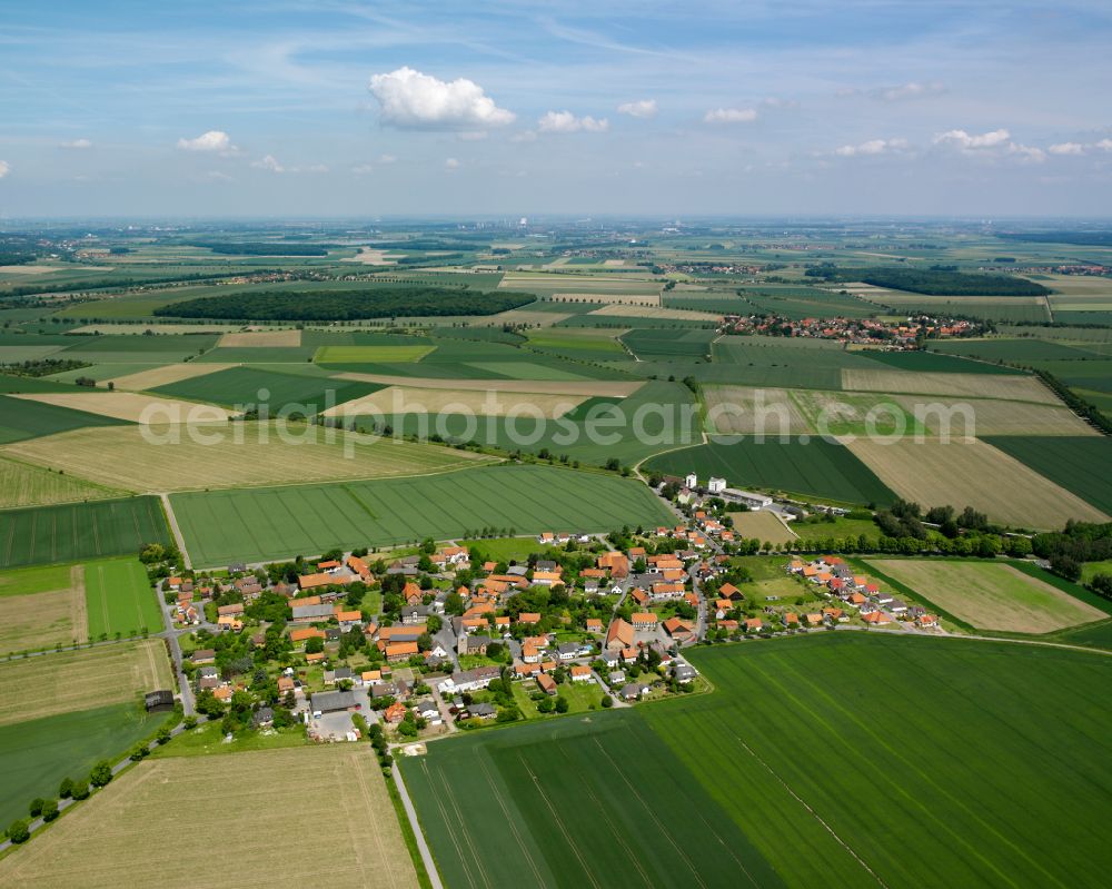 Klein Mahner from the bird's eye view: Agricultural land and field boundaries surround the settlement area of the village in Klein Mahner in the state Lower Saxony, Germany