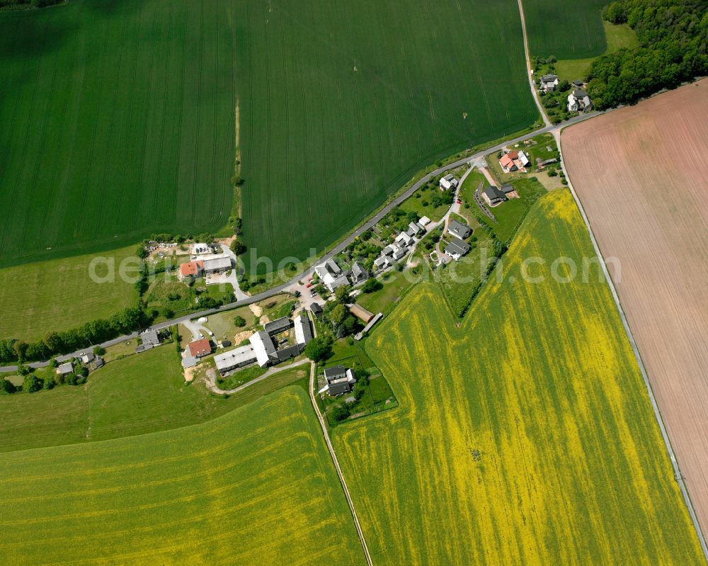 Aerial photograph Kleinreinsdorf - Agricultural land and field boundaries surround the settlement area of the village in Kleinreinsdorf in the state Thuringia, Germany