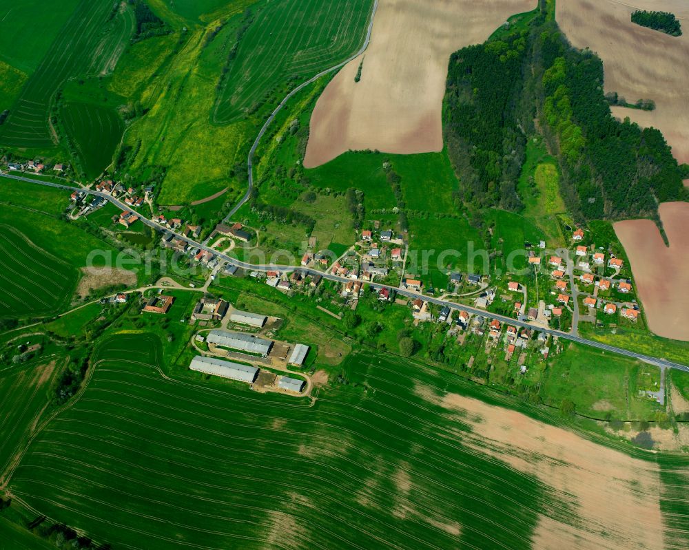 Aerial image Kleinsaara - Agricultural land and field boundaries surround the settlement area of the village in Kleinsaara in the state Thuringia, Germany