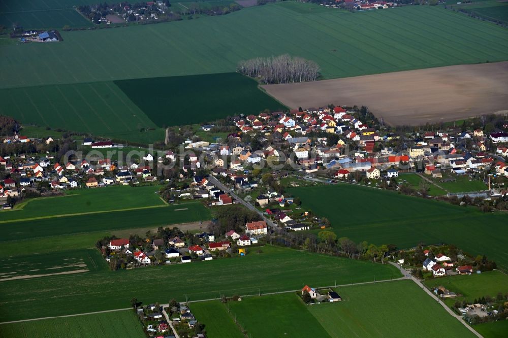 Kleinschkorlopp from the bird's eye view: Agricultural land and field boundaries surround the settlement area of the village in Kleinschkorlopp in the state Saxony, Germany