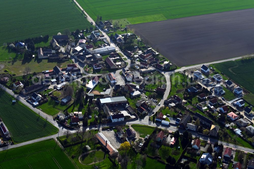 Kleinschkorlopp from above - Agricultural land and field boundaries surround the settlement area of the village in Kleinschkorlopp in the state Saxony, Germany