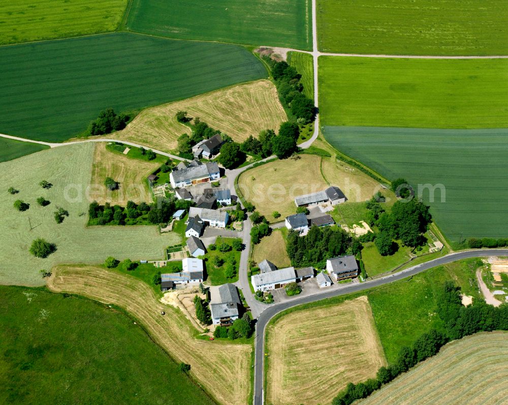 Klosterkumbd from above - Agricultural land and field boundaries surround the settlement area of the village in Klosterkumbd in the state Rhineland-Palatinate, Germany