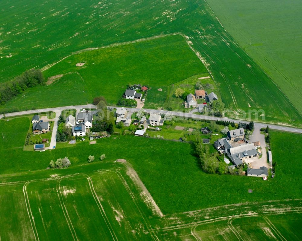 Königshain from the bird's eye view: Agricultural land and field boundaries surround the settlement area of the village in Königshain in the state Saxony, Germany