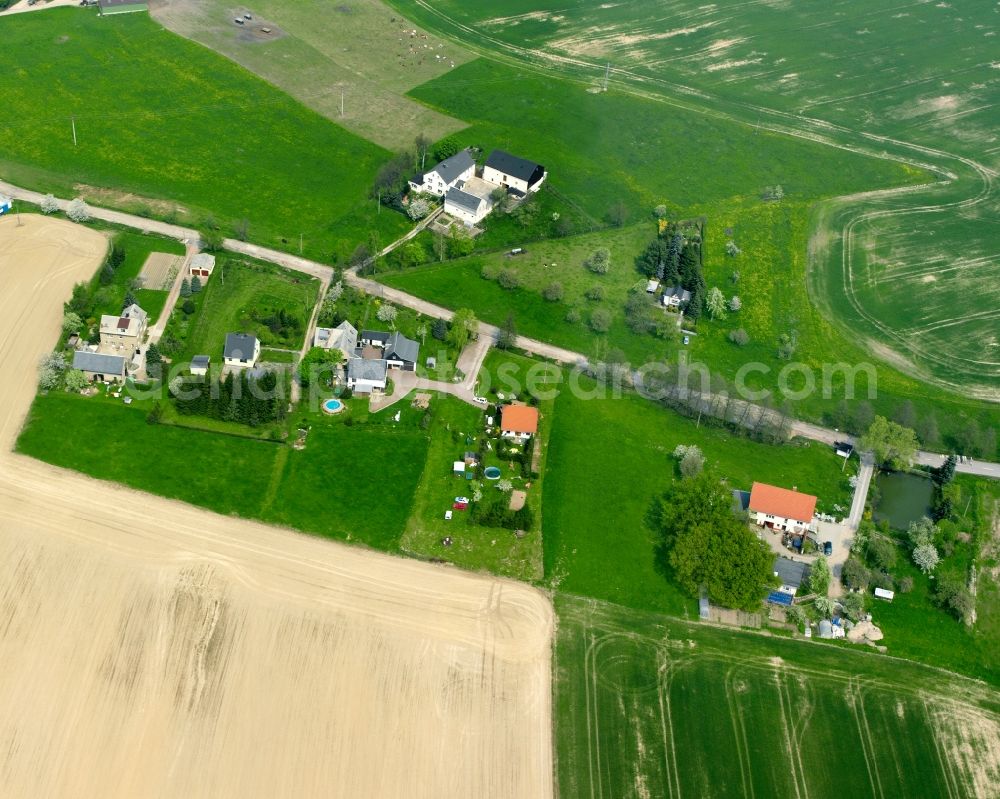 Aerial image Königshain - Agricultural land and field boundaries surround the settlement area of the village in Königshain in the state Saxony, Germany