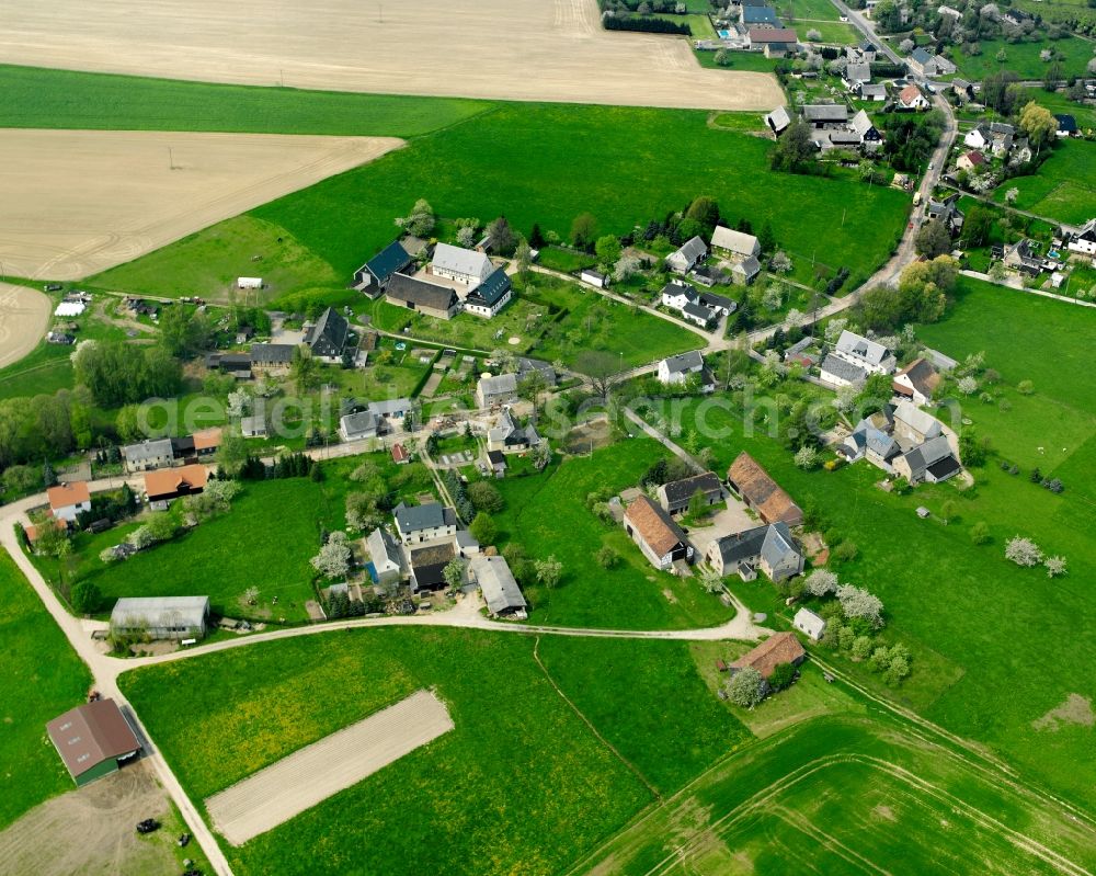 Aerial photograph Königshain - Agricultural land and field boundaries surround the settlement area of the village in Königshain in the state Saxony, Germany