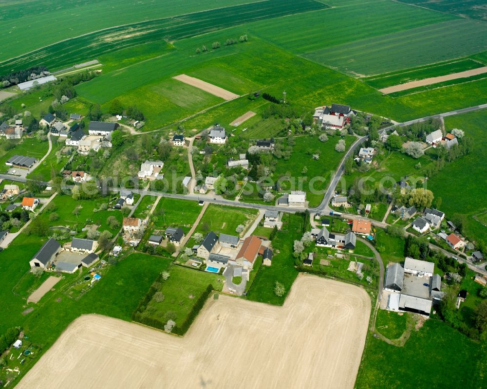 Königshain from above - Agricultural land and field boundaries surround the settlement area of the village in Königshain in the state Saxony, Germany