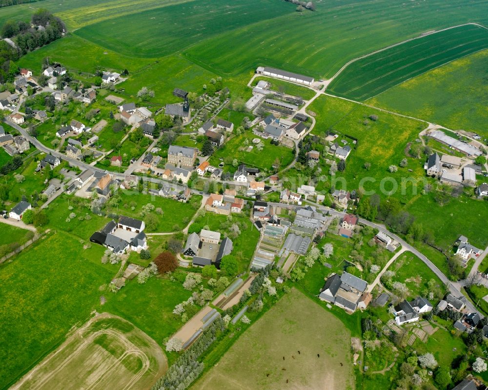 Königshain from above - Agricultural land and field boundaries surround the settlement area of the village in Königshain in the state Saxony, Germany