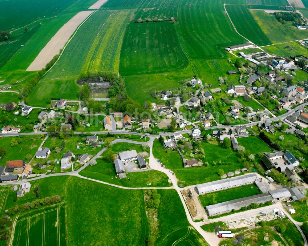 Königshain from the bird's eye view: Agricultural land and field boundaries surround the settlement area of the village in Königshain in the state Saxony, Germany