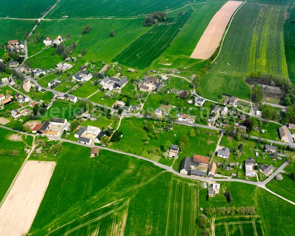 Aerial image Königshain - Agricultural land and field boundaries surround the settlement area of the village in Königshain in the state Saxony, Germany