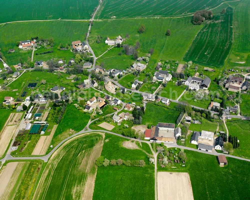 Aerial photograph Königshain - Agricultural land and field boundaries surround the settlement area of the village in Königshain in the state Saxony, Germany