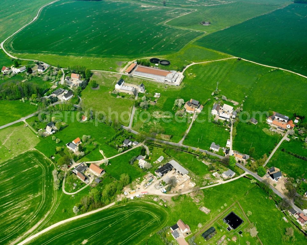 Königshain from above - Agricultural land and field boundaries surround the settlement area of the village in Königshain in the state Saxony, Germany