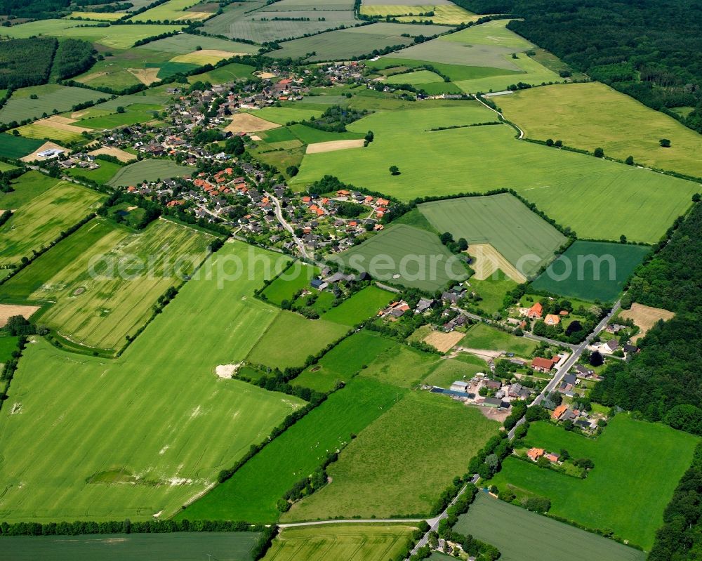 Koberg from the bird's eye view: Agricultural land and field boundaries surround the settlement area of the village in Koberg in the state Schleswig-Holstein, Germany