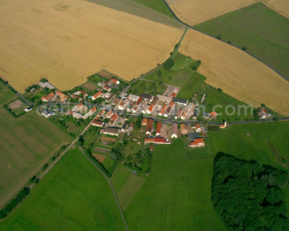 Aerial image Krauschütz - Agricultural land and field boundaries surround the settlement area of the village in Krauschütz in the state Saxony, Germany