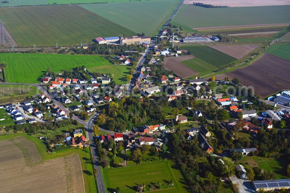 Krensitz from the bird's eye view: Agricultural land and field boundaries surround the settlement area of the village in Krensitz in the state Saxony, Germany