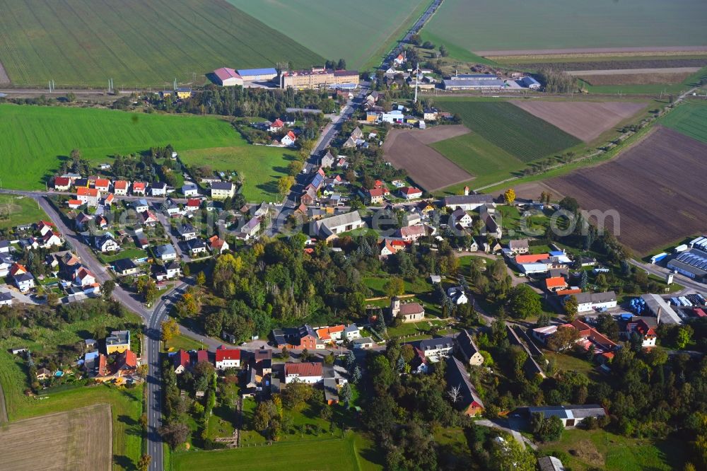 Aerial image Krensitz - Agricultural land and field boundaries surround the settlement area of the village in Krensitz in the state Saxony, Germany