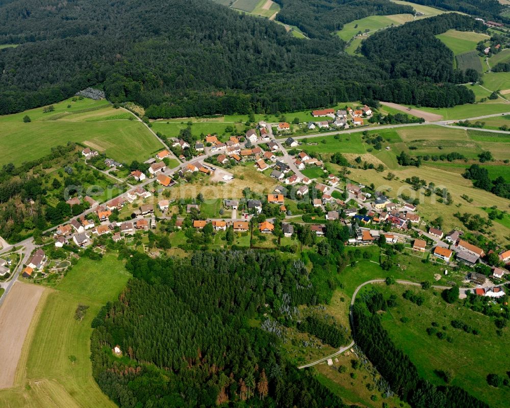 Aerial photograph Kreuzle - Agricultural land and field boundaries surround the settlement area of the village in Kreuzle in the state Baden-Wuerttemberg, Germany