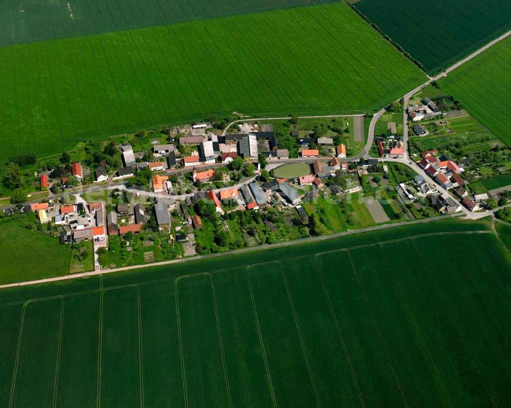 Köselitz from above - Agricultural land and field boundaries surround the settlement area of the village in Köselitz in the state Saxony-Anhalt, Germany