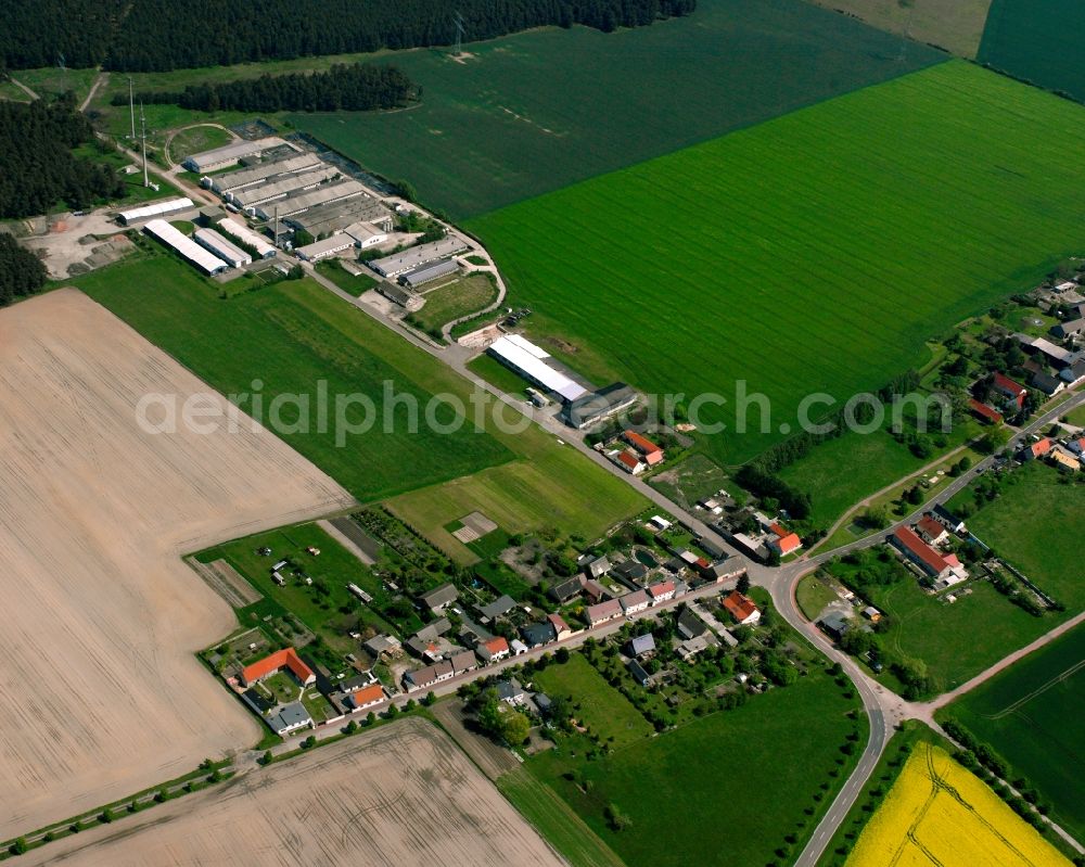 Köselitz from the bird's eye view: Agricultural land and field boundaries surround the settlement area of the village in Köselitz in the state Saxony-Anhalt, Germany