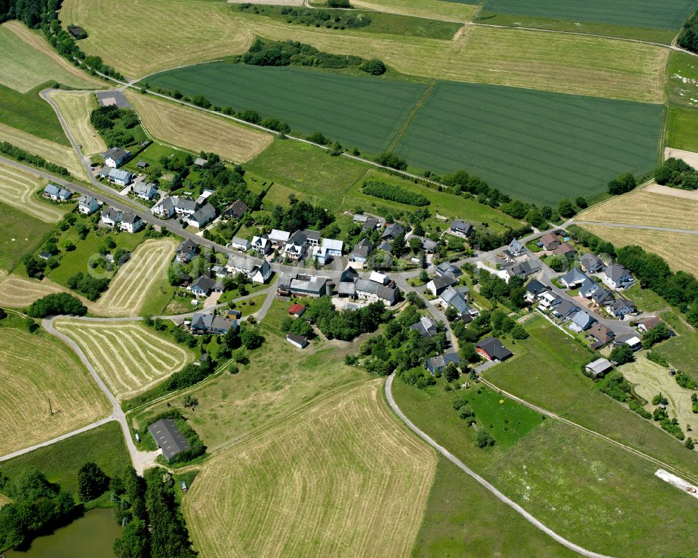 Aerial image Lamscheid - Agricultural land and field boundaries surround the settlement area of the village in Lamscheid in the state Rhineland-Palatinate, Germany