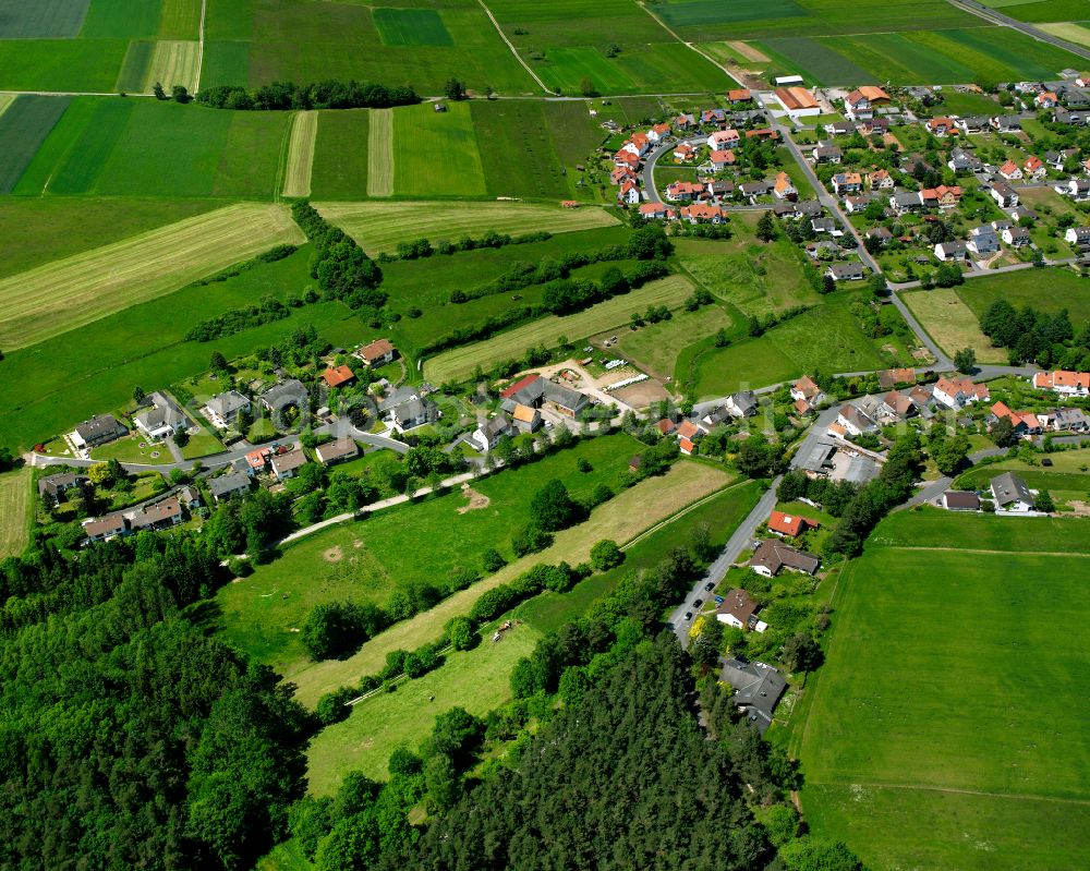 Landenhausen from the bird's eye view: Agricultural land and field boundaries surround the settlement area of the village in Landenhausen in the state Hesse, Germany