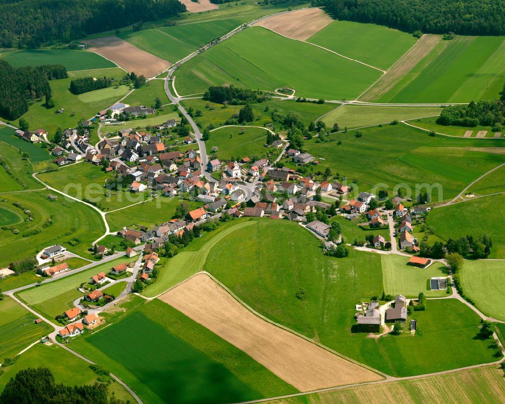 Aerial image Langenenslingen - Agricultural land and field boundaries surround the settlement area of the village in Langenenslingen in the state Baden-Wuerttemberg, Germany