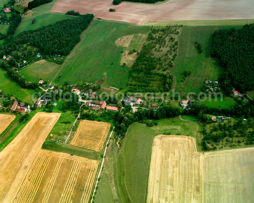 Aerial photograph Langengrobsdorf - Agricultural land and field boundaries surround the settlement area of the village in Langengrobsdorf in the state Thuringia, Germany