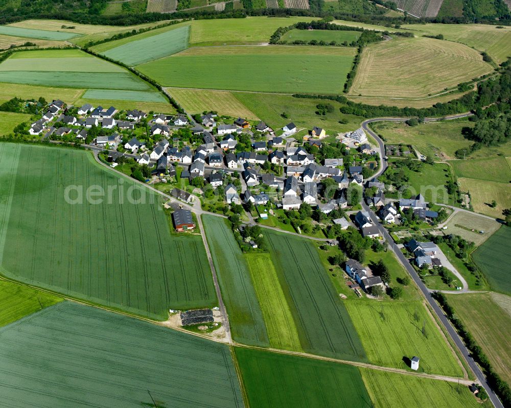 Langscheid from the bird's eye view: Agricultural land and field boundaries surround the settlement area of the village in Langscheid in the state Rhineland-Palatinate, Germany