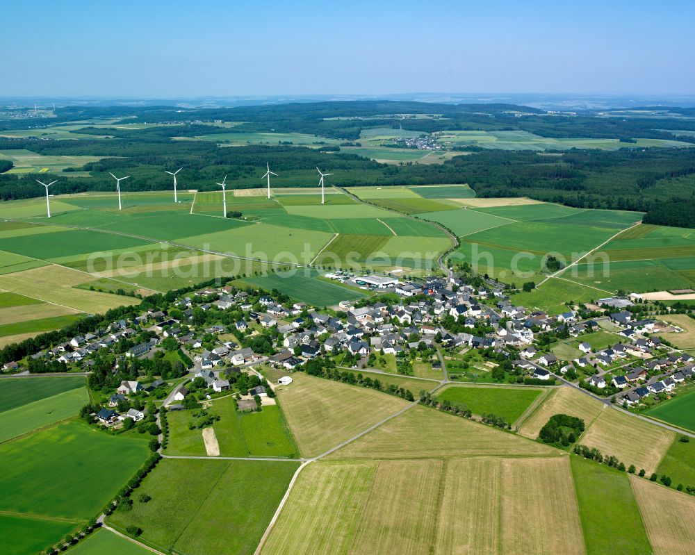 Laubach from the bird's eye view: Agricultural land and field boundaries surround the settlement area of the village in Laubach in the state Rhineland-Palatinate, Germany