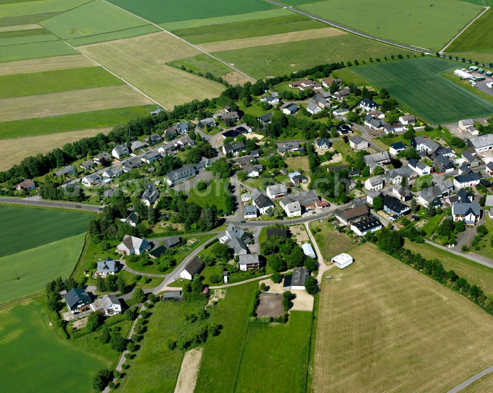 Aerial photograph Laubach - Agricultural land and field boundaries surround the settlement area of the village in Laubach in the state Rhineland-Palatinate, Germany