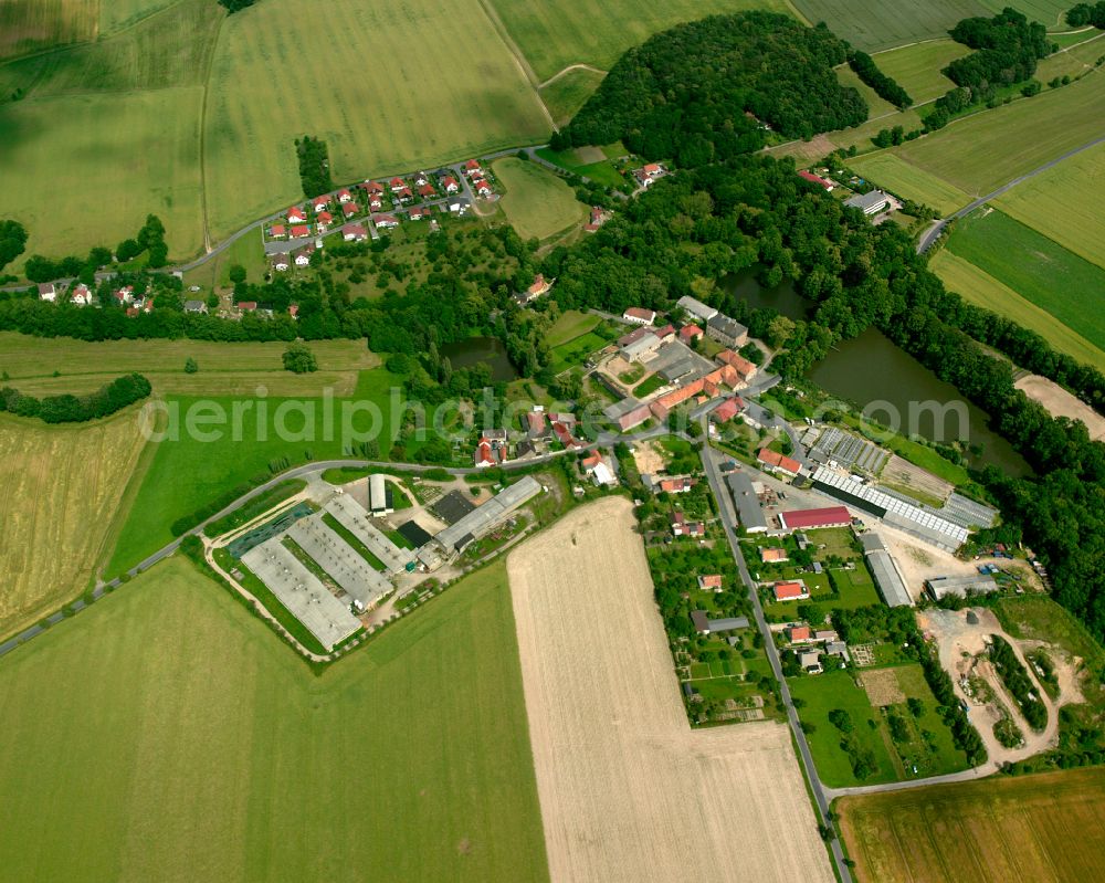 Aerial image Lauterbach - Agricultural land and field boundaries surround the settlement area of the village in Lauterbach in the state Saxony, Germany