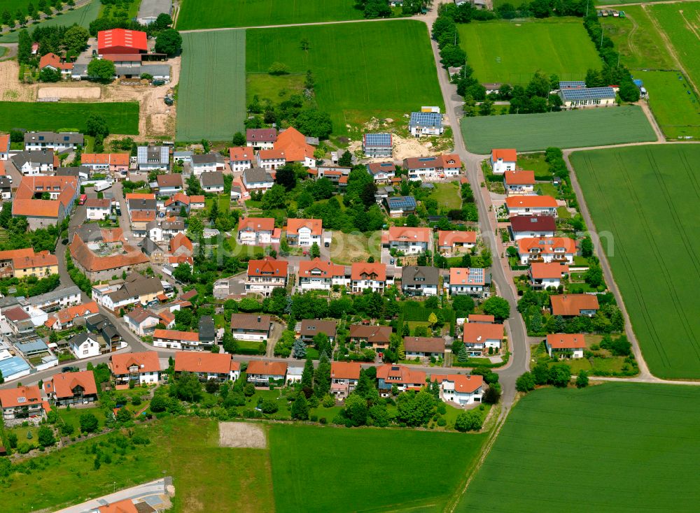 Lautersheim from the bird's eye view: Agricultural land and field boundaries surround the settlement area of the village in Lautersheim in the state Rhineland-Palatinate, Germany