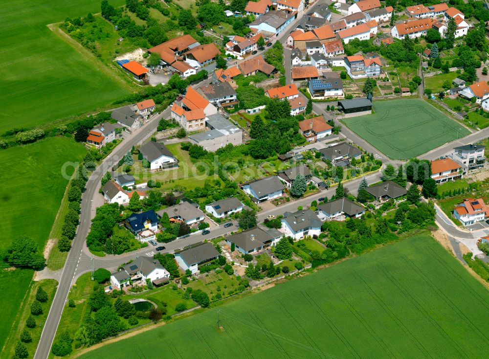 Lautersheim from above - Agricultural land and field boundaries surround the settlement area of the village in Lautersheim in the state Rhineland-Palatinate, Germany