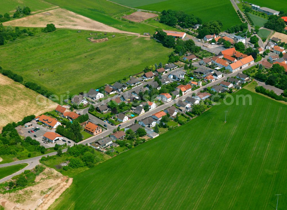 Lautersheim from the bird's eye view: Agricultural land and field boundaries surround the settlement area of the village in Lautersheim in the state Rhineland-Palatinate, Germany