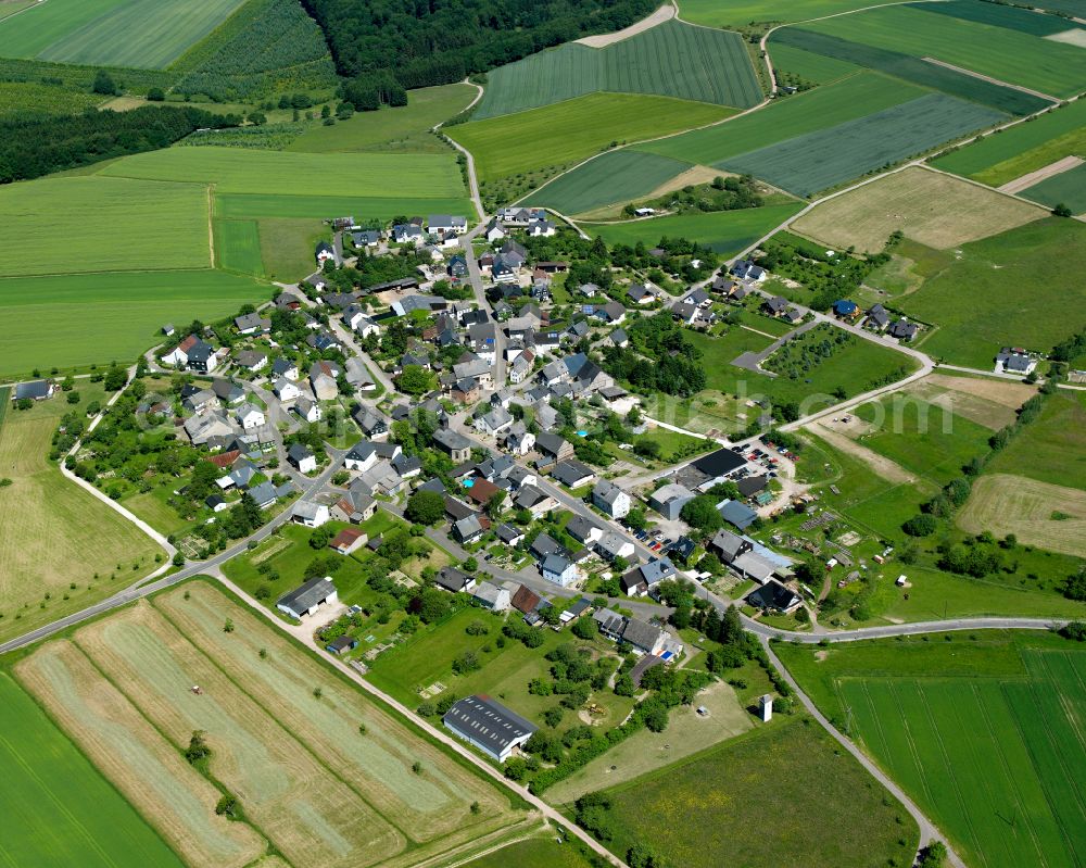 Aerial photograph Leideneck - Agricultural land and field boundaries surround the settlement area of the village in Leideneck in the state Rhineland-Palatinate, Germany