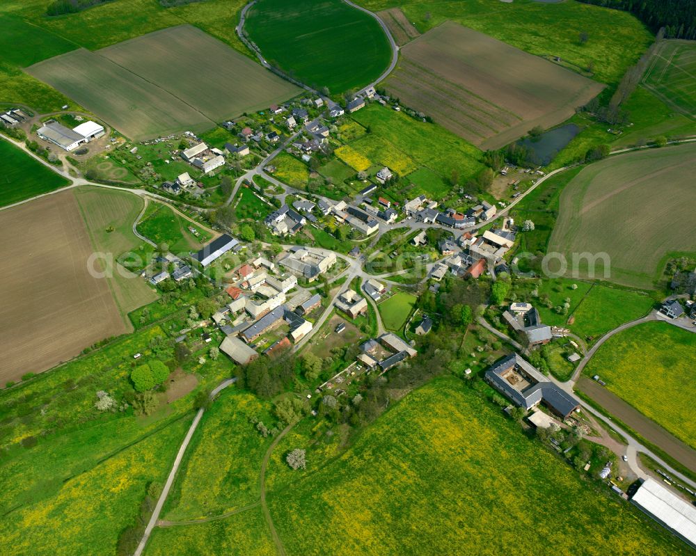 Leitlitz from the bird's eye view: Agricultural land and field boundaries surround the settlement area of the village in Leitlitz in the state Thuringia, Germany