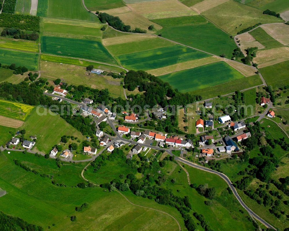 Leitzweiler from the bird's eye view: Agricultural land and field boundaries surround the settlement area of the village in Leitzweiler in the state Rhineland-Palatinate, Germany