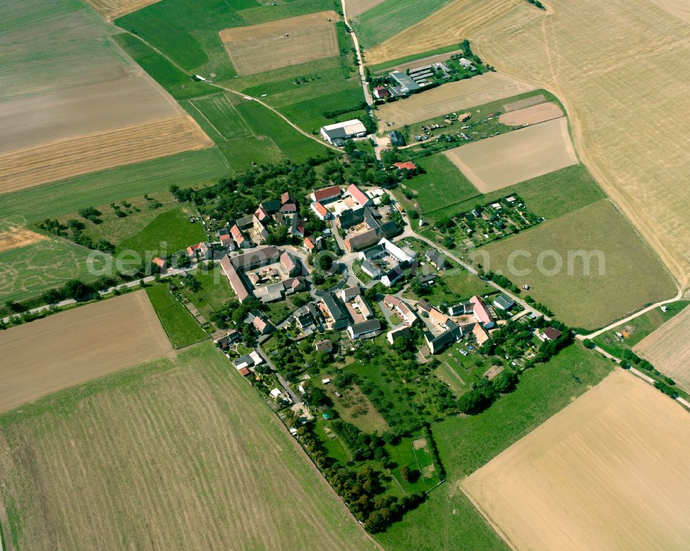 Lessen from above - Agricultural land and field boundaries surround the settlement area of the village in Lessen in the state Thuringia, Germany