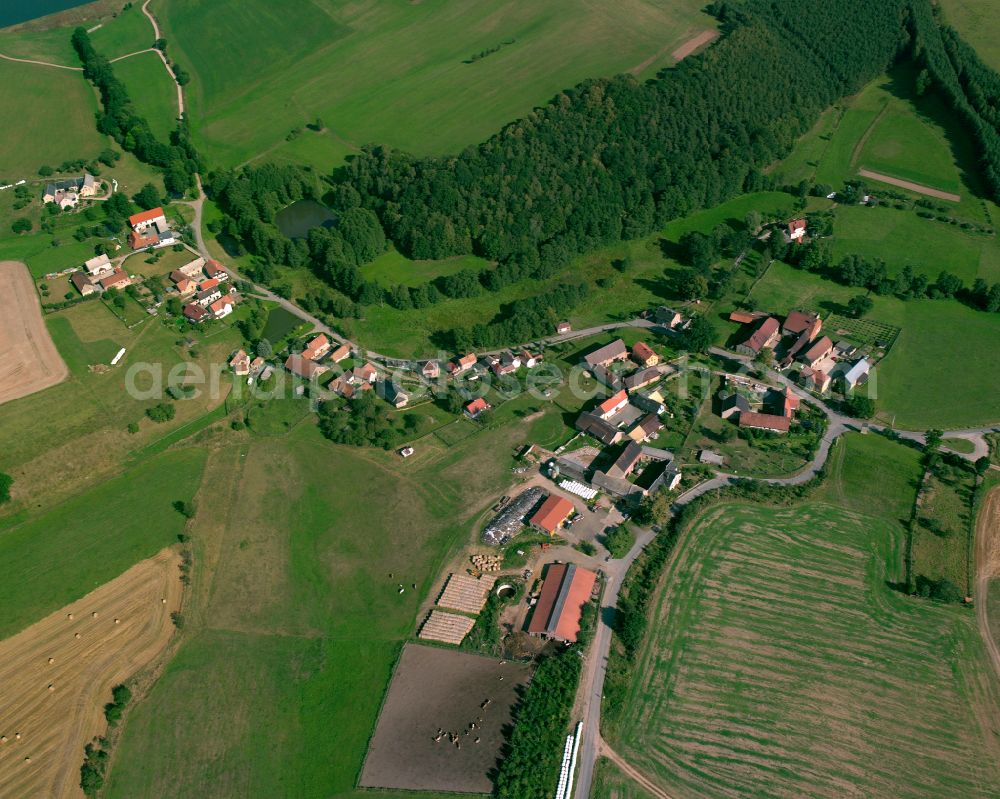 Aerial image Letzendorf - Agricultural land and field boundaries surround the settlement area of the village in Letzendorf in the state Thuringia, Germany