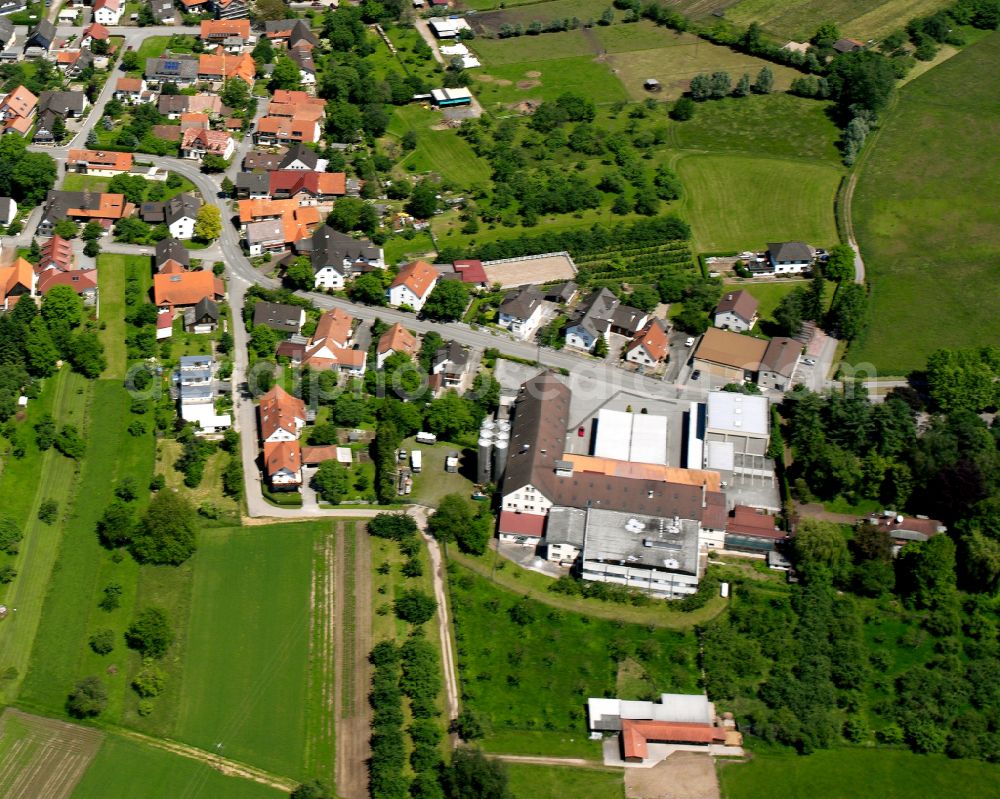 Leutesheim from above - Agricultural land and field boundaries surround the settlement area of the village in Leutesheim in the state Baden-Wuerttemberg, Germany