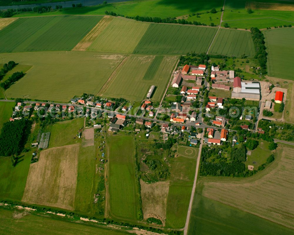 Aerial photograph Leutewitz - Agricultural land and field boundaries surround the settlement area of the village in Leutewitz in the state Saxony, Germany