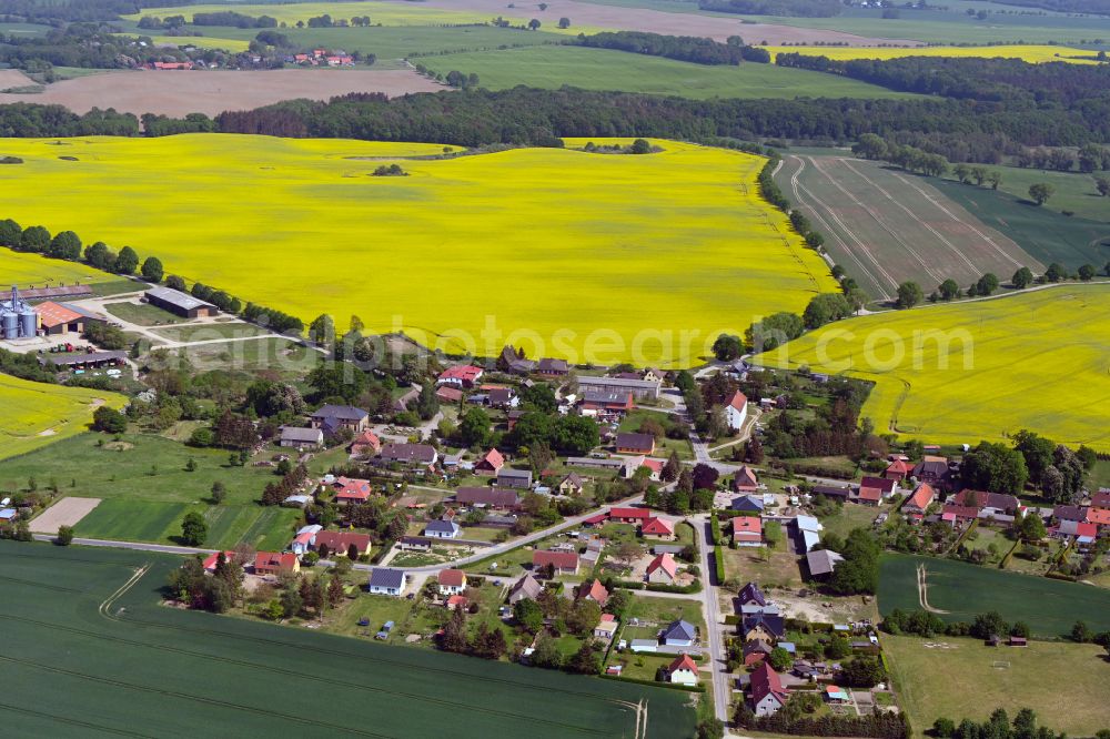 Lexow from the bird's eye view: Agricultural land and field boundaries surround the settlement area of the village in Lexow in the state Mecklenburg - Western Pomerania, Germany