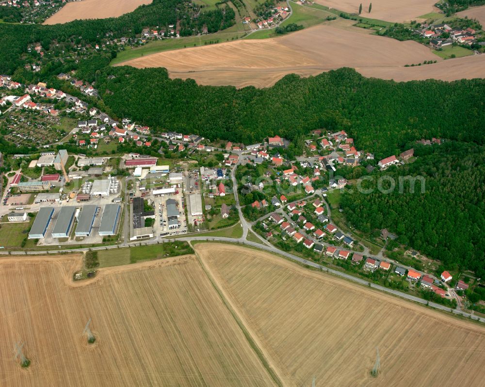 Aerial image Liebschwitz - Agricultural land and field boundaries surround the settlement area of the village in Liebschwitz in the state Thuringia, Germany