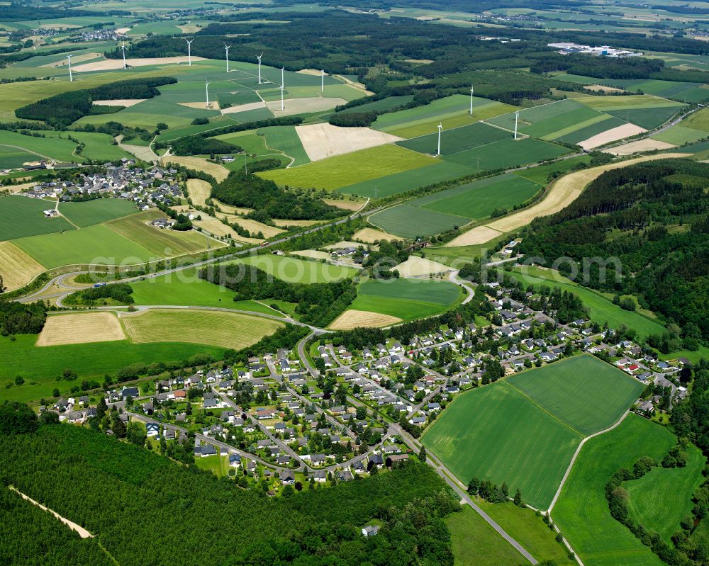 Liederbach from the bird's eye view: Agricultural land and field boundaries surround the settlement area of the village in Liederbach in the state Rhineland-Palatinate, Germany