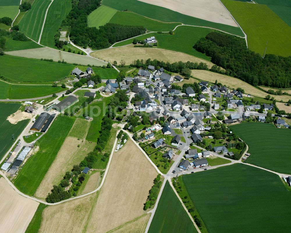 Liederbach from the bird's eye view: Agricultural land and field boundaries surround the settlement area of the village in Liederbach in the state Rhineland-Palatinate, Germany