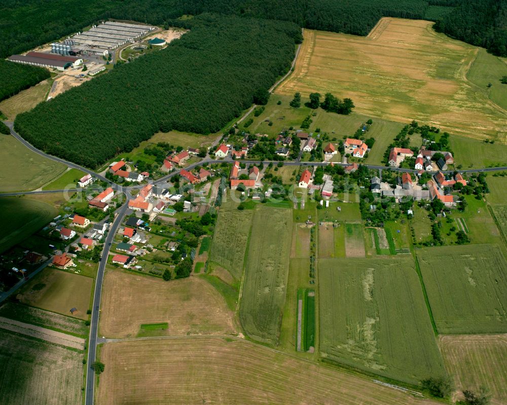 Liega from the bird's eye view: Agricultural land and field boundaries surround the settlement area of the village in Liega in the state Saxony, Germany