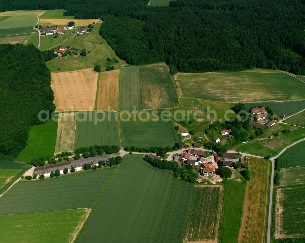 Aerial photograph Liepolding - Agricultural land and field boundaries surround the settlement area of the village in Liepolding in the state Bavaria, Germany